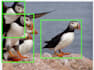 do custom data annotation, bounding box, polygon,bitmap, keypoint, polyline