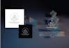 do pixel perfect custom and unique logo design services