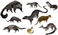 draw cute and  artistic animal  illustration