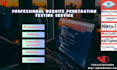do website penetration testing and vulnerability assessment