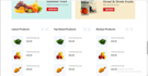 design a responsive and user friendly ecommerce website