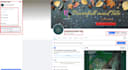 setup facebook page  and fix business manager professionally
