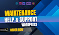 do wordpress maintenance, security and provide support