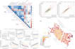 do data visualizations in rstudio for spatial, statistical and science analysis