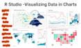 data analysis, visualization,code,script r programming and python