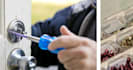 do locksmith website service, home security, cyber security website