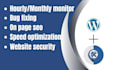 do website maintenance or wordpress update or website manager