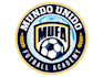 design wonderful football academy logo