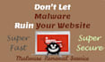 provide professional wordpress malware removal service