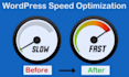 provide speed optimization wordpress, website performance,SEO and google ranking
