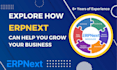 provide consultancy for erpnext implementation