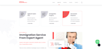 do website development or redesign wordpress theme with complete SEO