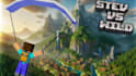 create minecraft 3d animation