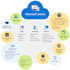 provide expert microsoft intune support