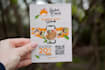 design modern flyers, brochures and marketing materials