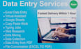 do data entry, copy paste, virtual assistant, typing and excel data entry jobs
