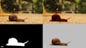do rotoscoping, green screen removal, keying and vfx professionally