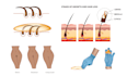 draw illustrations for manicures, waxing and others guide