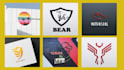 create  custom business logo design in vector illustration