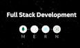 develop custom web applications