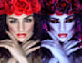 retouch your favorite photos