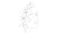 draw line art illustration