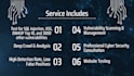 conduct penetration testing and vulnerability assessments