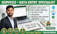 be your expert data entry and virtual assistant