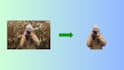 do a background removal