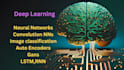 deep learning neural networks projects using tensorflow,pytorch,keras