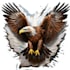 design logo , illustrations , graphic design , poster