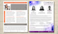 write and design one page summary of your CV resume executive profile portfolio