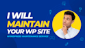 do website maintenance for you