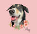 draw vector illustration cartoon dog cat pet potrait