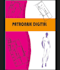garment design and pattern making