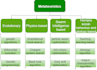 do optimization process by metaheuristic methods