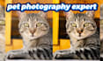improve your photographs, lightroom editing specialist