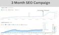 provide monthly SEO services to rank on google