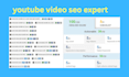 be your youtube video SEO expert
