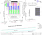create solar pv plans from google earth to auto cad