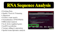 do bioinformatics, ngs, rnaseq and transcriptome analysis