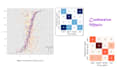 do data visualization, data analysis, data manipulating, powerbi