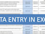 data entry expert in ms office