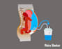 do medical illustration and pencil sketch