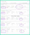 setup google ads conversion,ga4 ecommerce tracking with tag manager