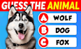 create quiz, trivia questions youtube videos