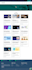 design and develop a professional wordpress website and blog