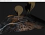 develop cpp java python opengl glew glut glfw sfml programming projects