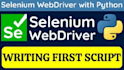 make selenium web automation bot development and data scraping services