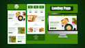 seo friendly landing page web design and development services